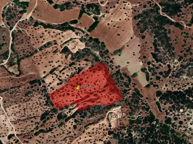 İskele Yedikonuk Satılık Arazi - Fotoğraf 3