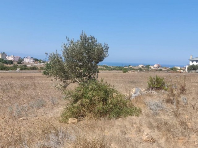 8803m2 Land For Sale Location Akdeniz Girne (Turkish Title Deeds) - Fotoğraf 1