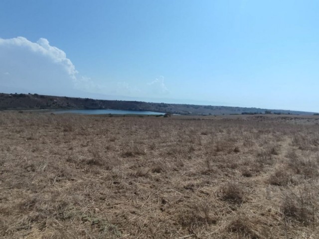 53861m2 Land For Sale Location Akdeniz Girne - Fotoğraf 1