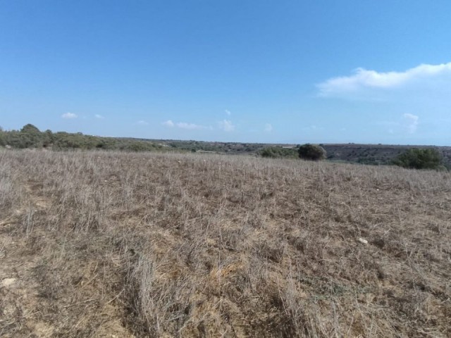 53861m2 Land For Sale Location Akdeniz Girne - Fotoğraf 2