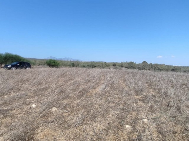 53861m2 Land For Sale Location Akdeniz Girne - Fotoğraf 3