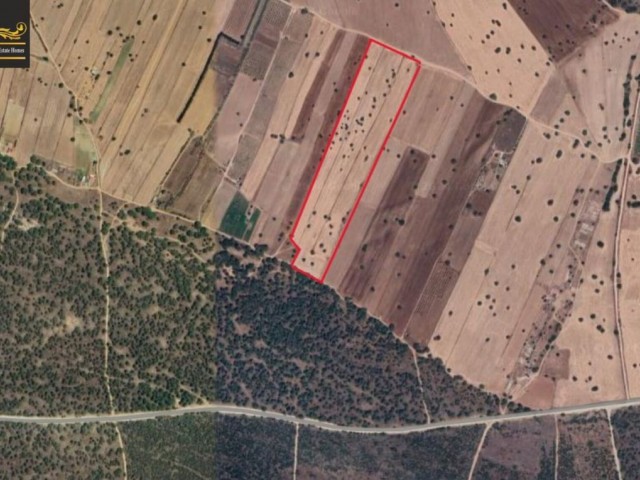 10537m2 Land For Sale Location Akdeniz Girne - Fotoğraf 1