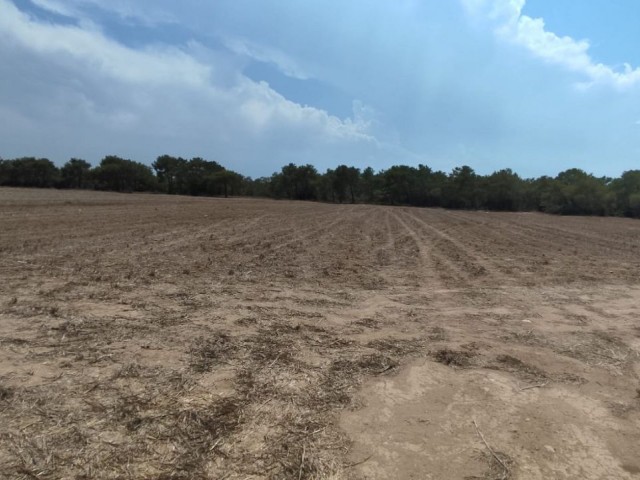 10537m2 Land For Sale Location Akdeniz Girne - Fotoğraf 3