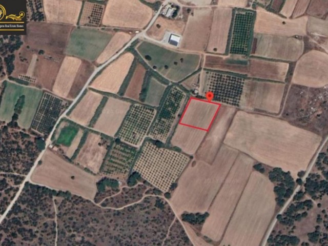 10300m2 Land For Sale Location Akdeniz Girne - Fotoğraf 2