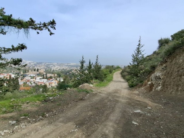 4020 m2 Arsa Satılık Sessiz Ülke Kaçamağı En İyi Konum Bellapais Girne