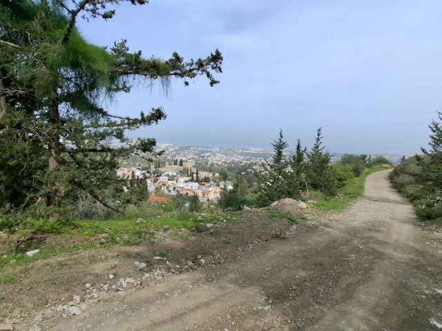 4020 m2 Arsa Satılık Sessiz Ülke Kaçamağı En İyi Konum Bellapais Girne - Fotoğraf 2