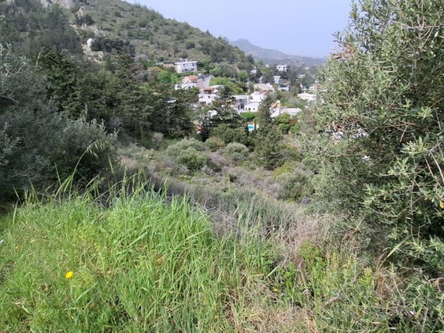 4020 m2 Arsa Satılık Sessiz Ülke Kaçamağı En İyi Konum Bellapais Girne - Fotoğraf 3