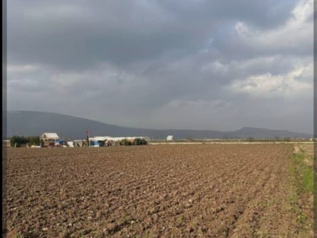 Lefkoşa da Parsellenmiş Ticari Satılık Araziler Depo Yapımına Uygun.. - Fotoğraf 2
