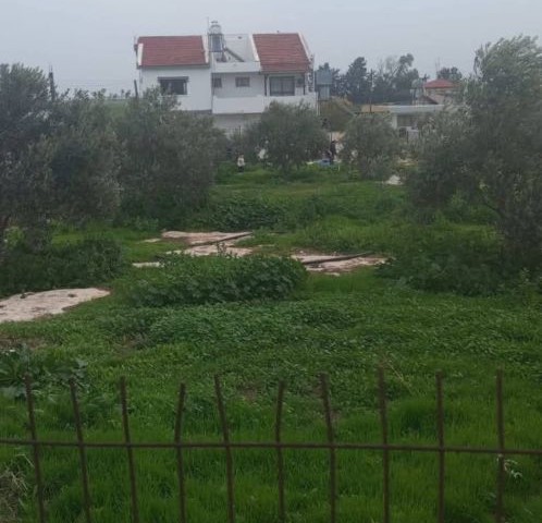 İskele Aygün'de Doğa Manzaralı 5+3 Müstakil Ev - Yatırım Fırsatı! - Fotoğraf 4
