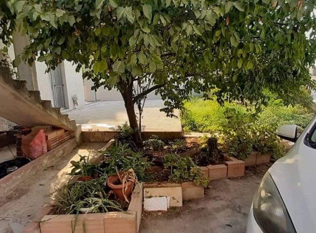 Mağusa Vadili Tam Arsa Üzerinde Müstakil Villa - Fotoğraf 3