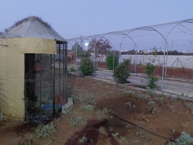 Tek Yetki Çiftlik Evi Tam Donanımlı Doğayla İç İçe Mağusa Çanakkale Bölgesi - Fotoğraf 1