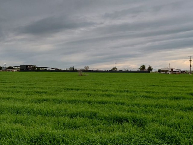 Tek Yetki Çiftlik Evi Tam Donanımlı Doğayla İç İçe Mağusa Çanakkale Bölgesi - Fotoğraf 3