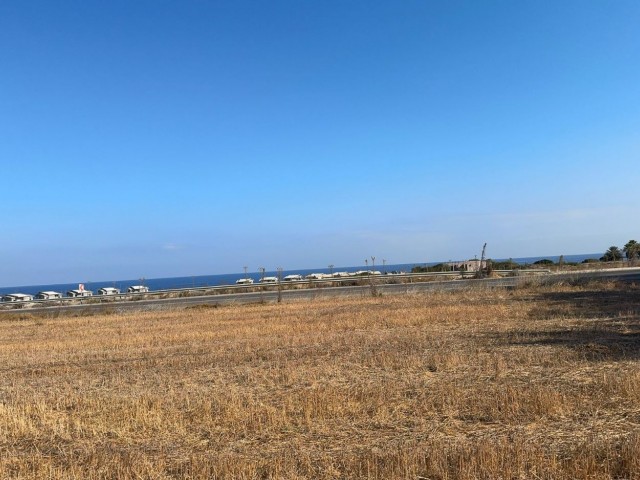 Yeni Erenköy Florya Bölgesinde Satılık Tarla 🌿 - Fotoğraf 3