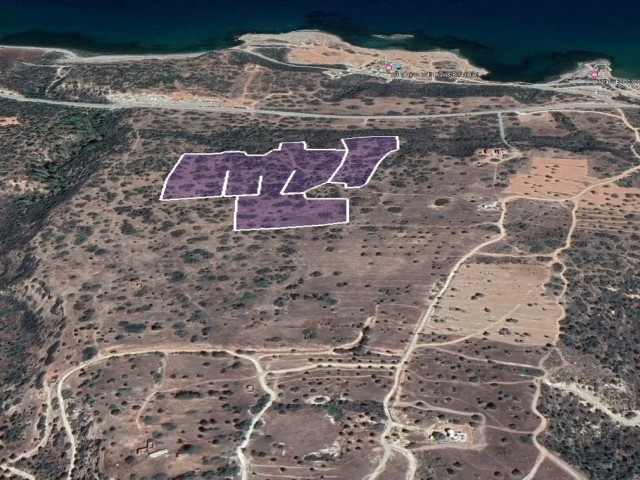 Muhteşem Deniz Manzaralı 41 Dönümlük Tarla: Yatırım İçin Mükemmel Fırsat! - Fotoğraf 4