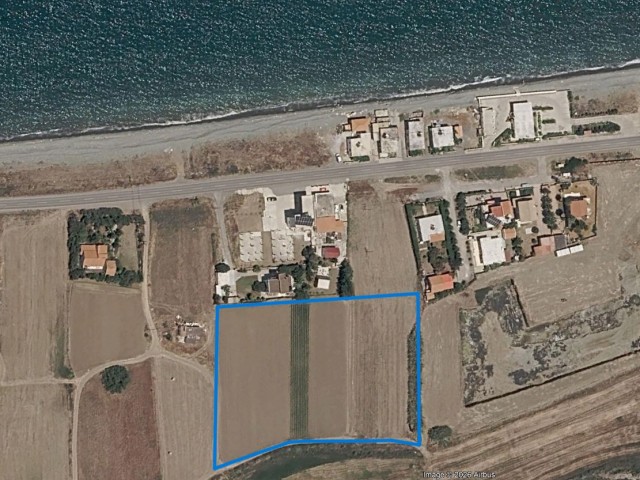 Cengizköy'de satılık 7 dönüm arazi.