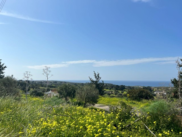 Yeni Erenköy'de satılık imarlı ve deniz manzaralı 3 dönüm arazi - Fotoğraf 4