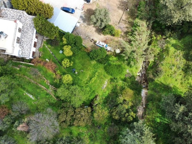 🌿 Bellapais’te Eşsiz Manzaraya Sahip Otantik Villa - Fotoğraf 1