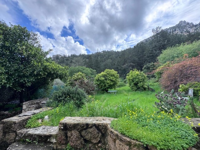 🌿 Bellapais’te Eşsiz Manzaraya Sahip Otantik Villa - Fotoğraf 4
