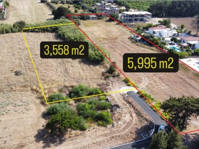 lapta’da denize 300 metre mesafesinde dağ ve deniz manzaralı %40 imarlı arazi - Fotoğraf 4