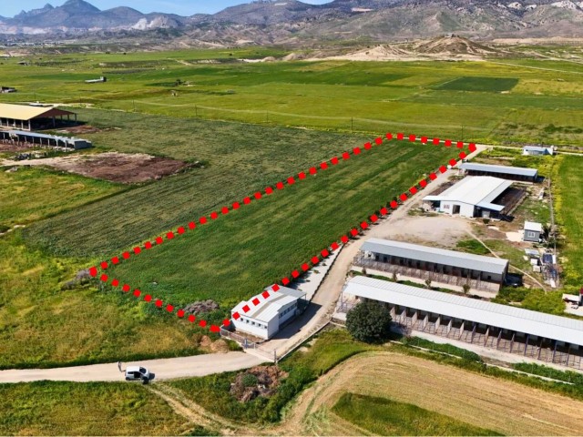 Lefkoşa Cihangir'de satılık türk koçanlı 5 dönüm arazi - Fotoğraf 2