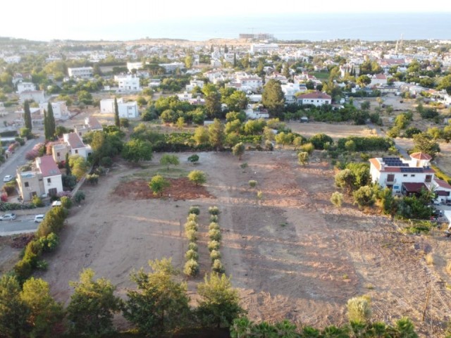 çatalköy mükemmel konum - Fotoğraf 2