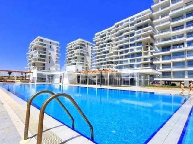 ABELIA’da 1+1 dair