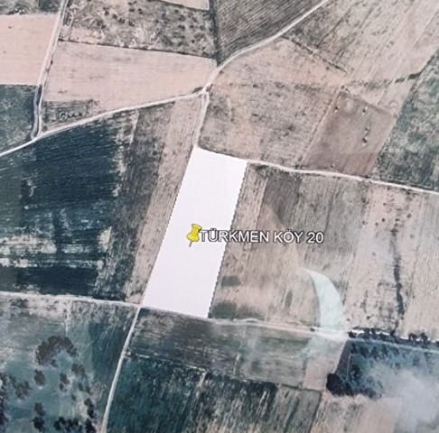 FASIL 96 20 DÖNÜM SATILIK ARSA 3 TARAFI RESMİ YOL