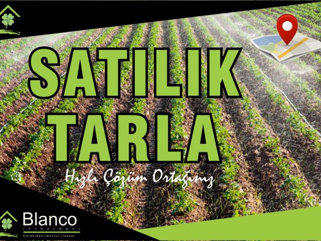 GAZİMAĞUSA/ÇAYÖNÜ BÖLGESİNDE SATILIK TARLA