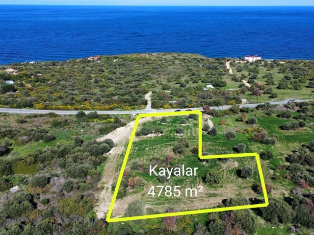 Kayalar 4785 m² Satılık Arsa - Fotoğraf 1