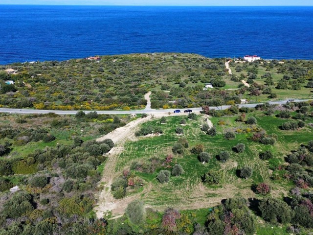 Kayalar 4785 m² Satılık Arsa - Fotoğraf 2
