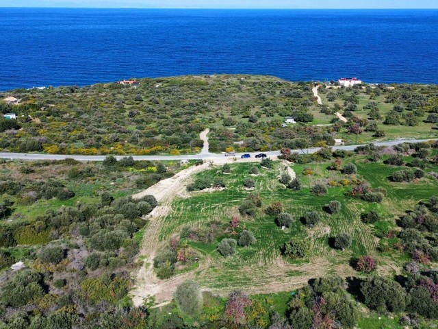 Kayalar 4785 m² Satılık Arsa - Fotoğraf 3