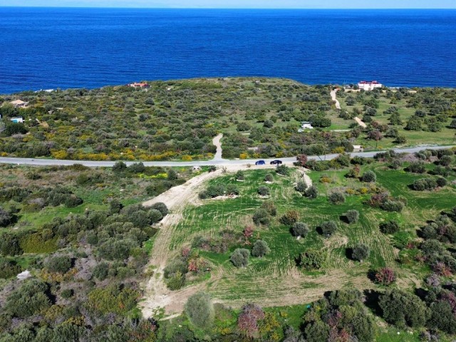 Kayalar 4785 m² Satılık Arsa - Fotoğraf 4