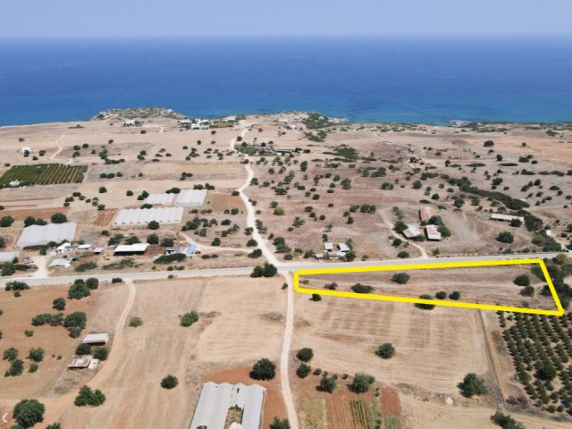 Tatlısu 4797 m² Satılık Arsa - Fotoğraf 1