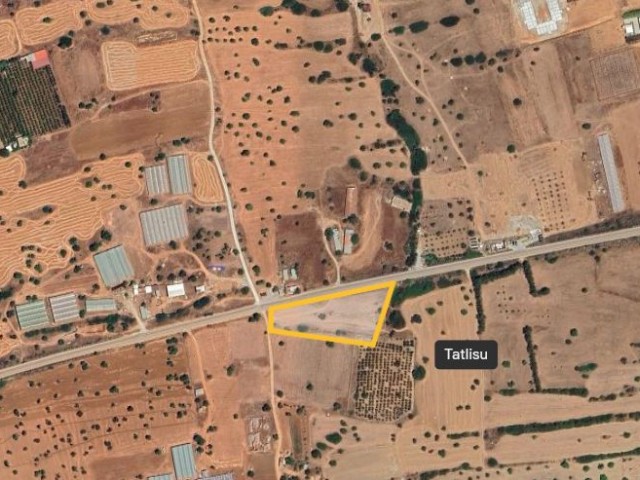 Tatlısu 4797 m² Satılık Arsa - Fotoğraf 3