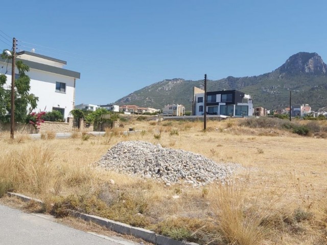Çatalköy 641 m² Satılık Arsa - Fotoğraf 2