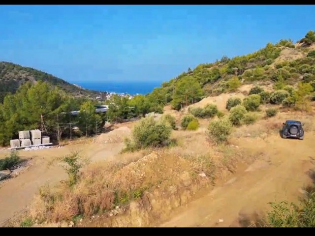 Alsacak 4191 m² Satılık Arsa - Fotoğraf 1