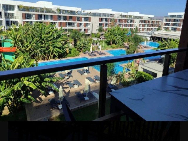 Long Beach Courtyard sitesinde havuz manzaralı stüdyo daire - Fotoğraf 2