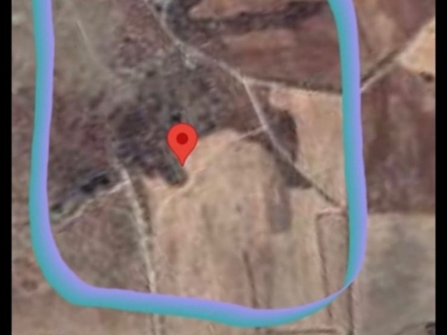 Güzelyurt Yayla Bölgesi 11 Dönüm Tarla