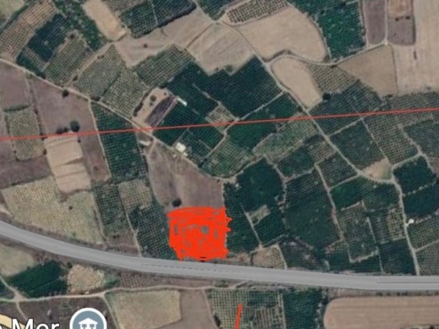 Güzelyurt Lefke Anayolu Üzerinde 4.5 Dönüm Arsa