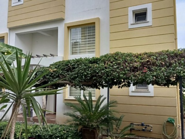 Çatalköy'de Satılık 1+1 Loft Daire - Fotoğraf 1