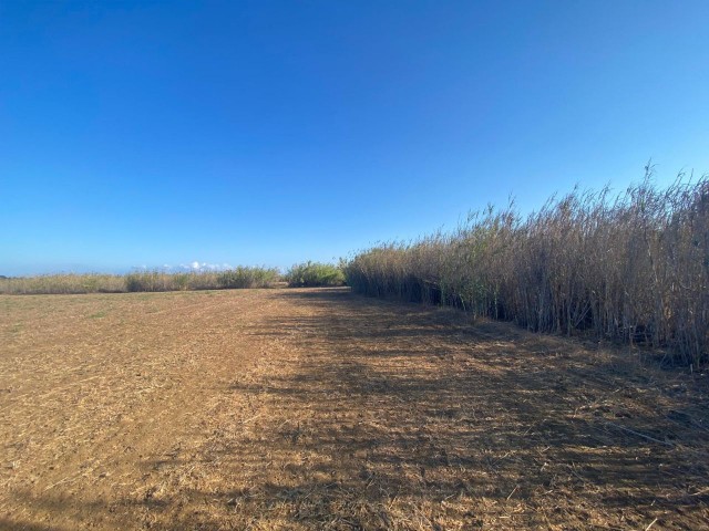 Güzelyurt/Yaylada satılık  4489m2 arazi