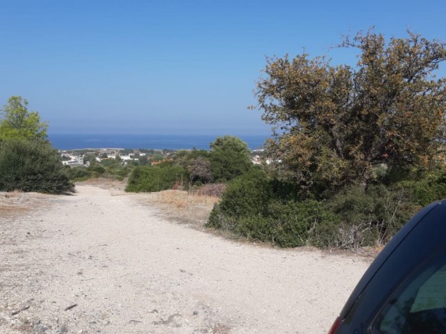 Girne Karşıyaka'da Muazzam Doğa Manzaralı Tarla Satışı! - Fotoğraf 3
