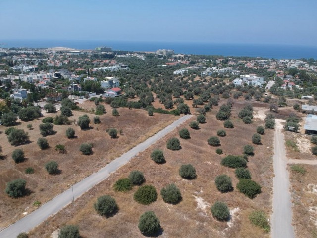 Girne Çatalköy'de Dağ Manzaralı 780 m² Konut İmarlı Arsa İmkanınızı Kaçırmayın! - Fotoğraf 4
