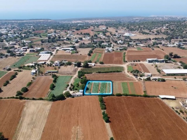 İskele Yeşilköy 1 Dönüm 3 Evlek 2055.27 Ayk2 ( 2532.51 m2 ) Satılık İmara Açık Arazi *** £55.000 GBP *** - Fotoğraf 1