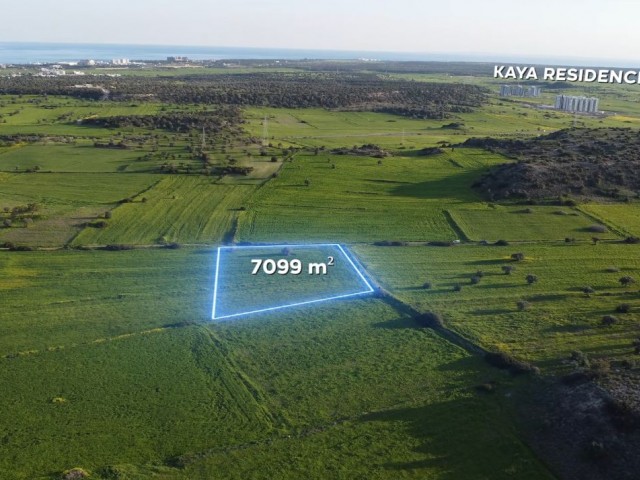İskele - Pamuklu Ana Yola Yakın 5 Dönüm 1 Evlek 809 Ayk2 ( 7099 M2) Satılık Arazi *** Dönümü 9.500 GBP *** - Fotoğraf 1