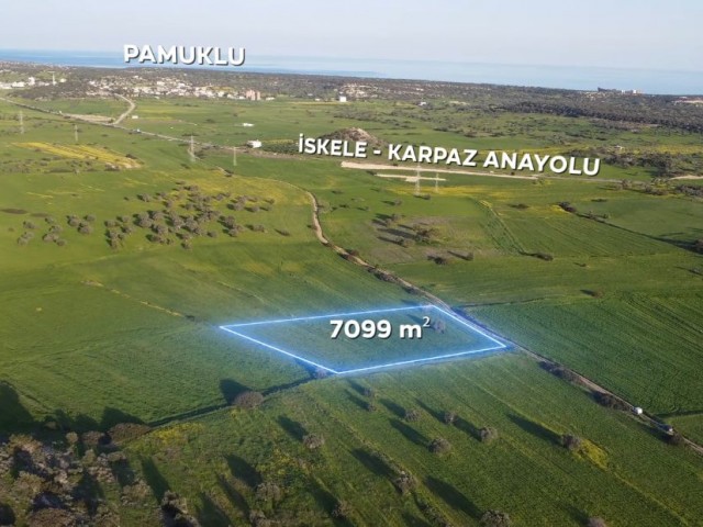 İskele - Pamuklu Ana Yola Yakın 5 Dönüm 1 Evlek 809 Ayk2 ( 7099 M2) Satılık Arazi *** Dönümü 9.500 GBP *** - Fotoğraf 2