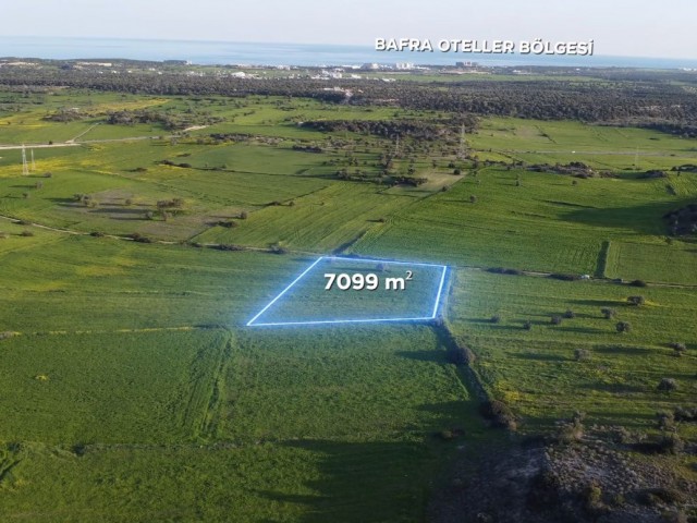 İskele - Pamuklu Ana Yola Yakın 5 Dönüm 1 Evlek 809 Ayk2 ( 7099 M2) Satılık Arazi *** Dönümü 9.500 GBP *** - Fotoğraf 3