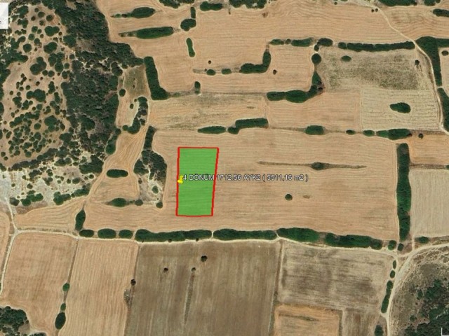 İskele - Dipkarpaz Daire Takasına Uygun 4 Dönüm 1712 Ayk2 (5511.16 m2) Satılık Arazi *** £55.000 GBP *** - Fotoğraf 2