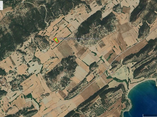 İskele - Dipkarpaz Daire Takasına Uygun 4 Dönüm 1712 Ayk2 (5511.16 m2) Satılık Arazi *** £55.000 GBP *** - Fotoğraf 3