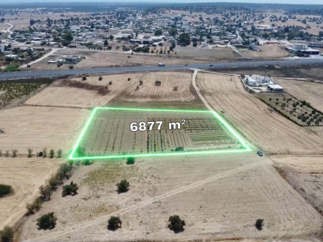 İskele - Çayırova 5 Dönüm 2021.59 Ayk2 (6877.88 m2) Satılık Arazi *** £29.000 Dönümü *** - Fotoğraf 4